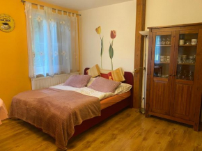Alba Apartmany Železná Ruda, Zelezná Ruda